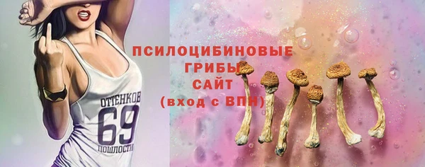 мдпв Богданович