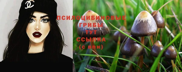 мдпв Богданович