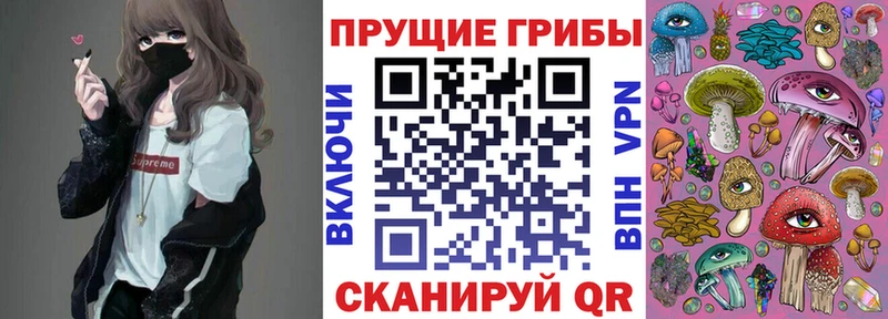 Купить закладки  Волосово  Псилоцибиновые грибы Magic Shrooms 